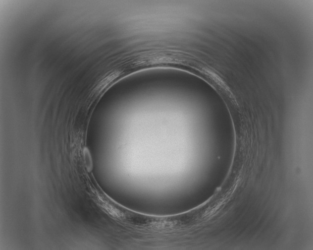 X0000057580793200509231250