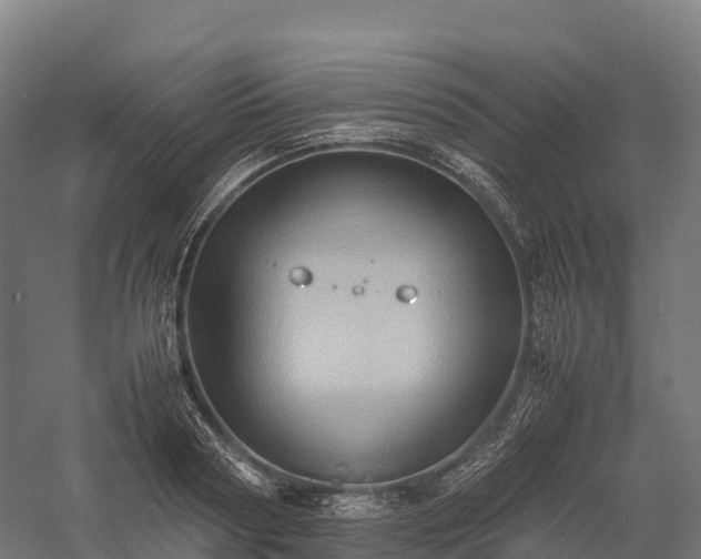 X0000057580794200509231250