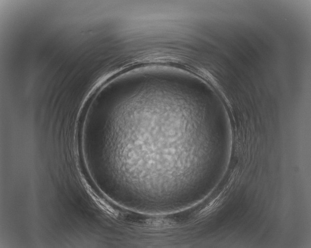 X0000057580795200509231250