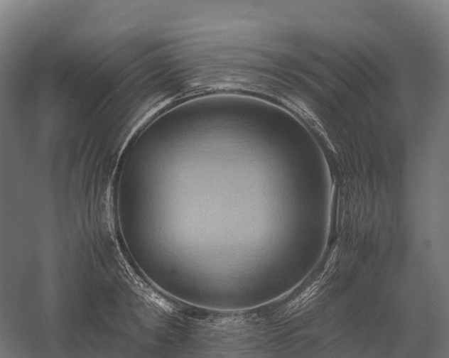 X0000057580798200509231250