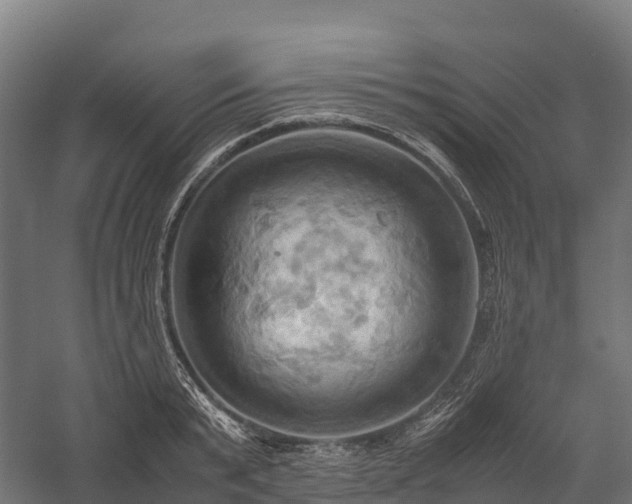 X0000057580799200509231250