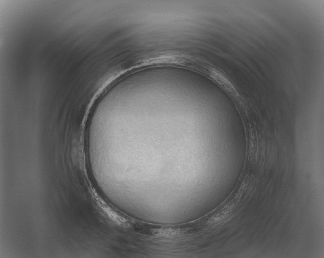 X0000057580800200509231250