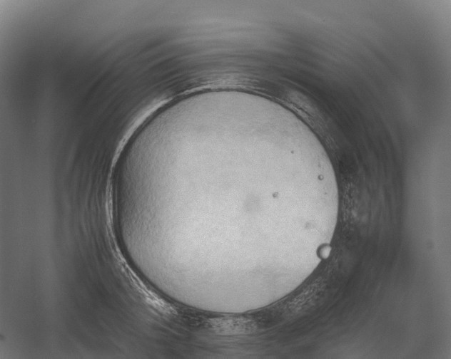 X0000057580804200509231250