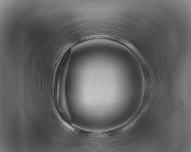 X0000057580809200509231250