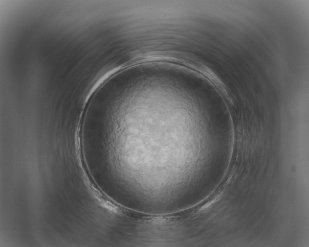 X0000057580814200509231250