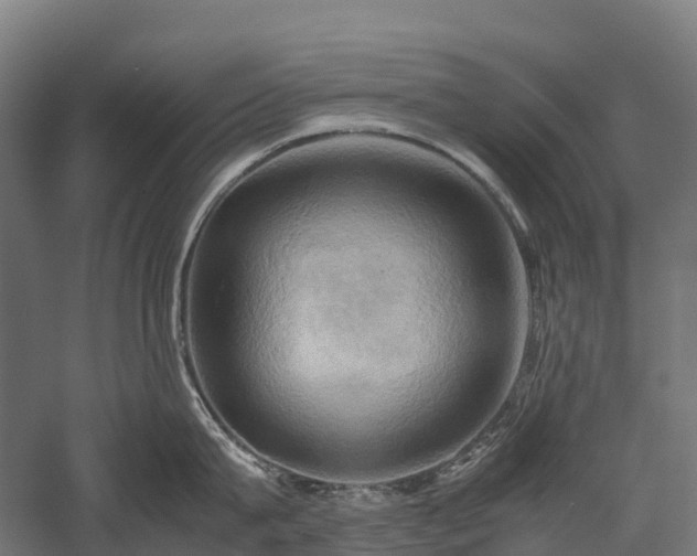 X0000057580815200509231250