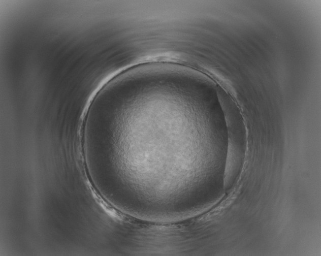 X0000057580816200509231250