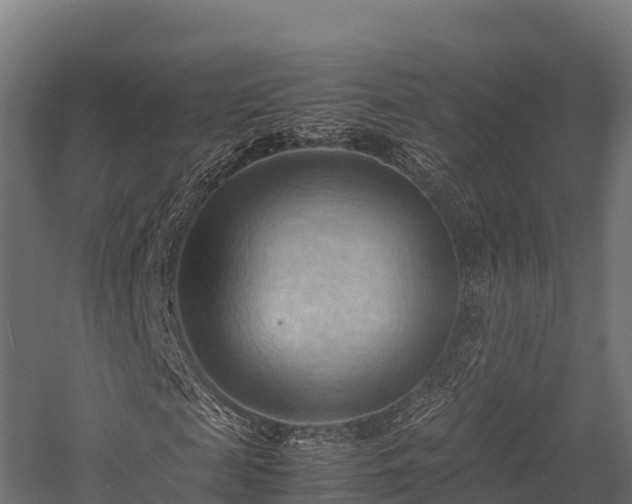 X0000057580817200509231249