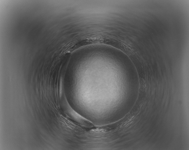 X0000057580818200509231249