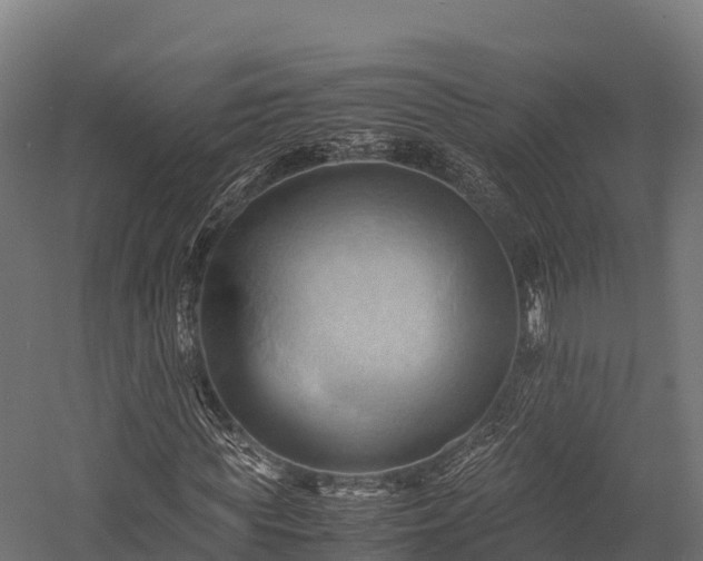 X0000057580819200509231249