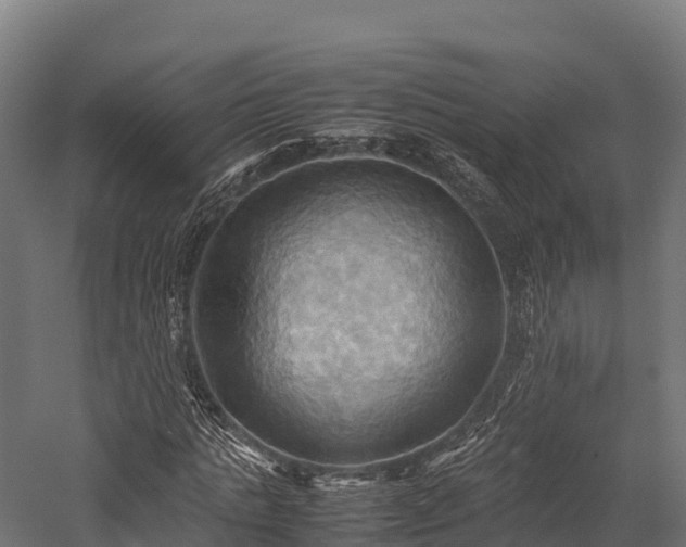 X0000057580821200509231249