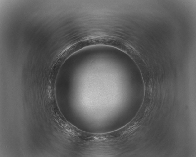 X0000057580822200509231249