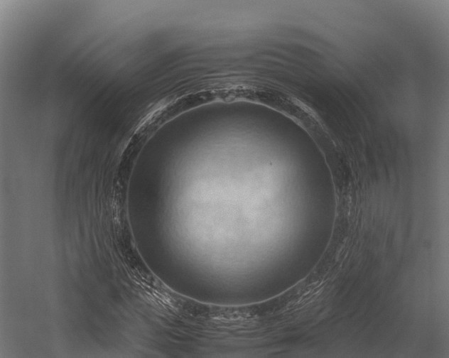 X0000057580823200509231249