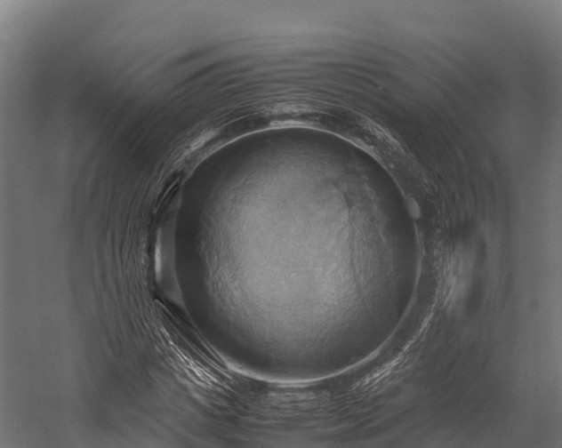 X0000057580825200509231249