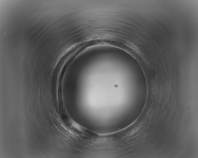 X0000057580826200509231249