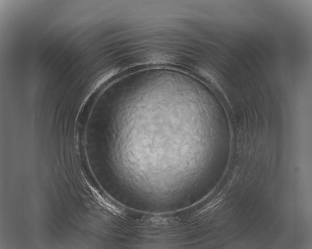 X0000057580827200509231249