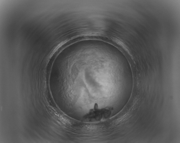 X0000057580829200509231249