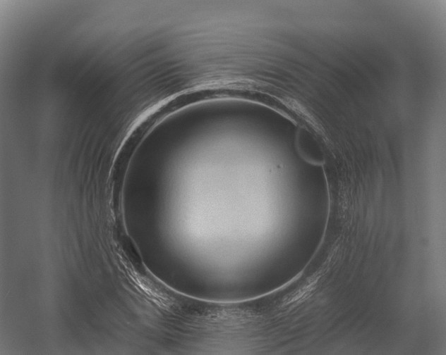 X0000057580830200509231249