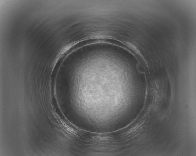 X0000057580831200509231249