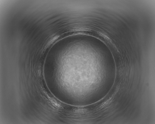 X0000057580833200509231249