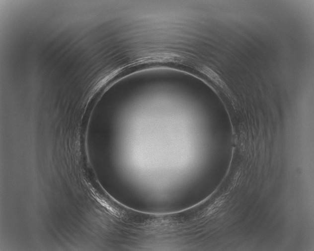 X0000057580834200509231249