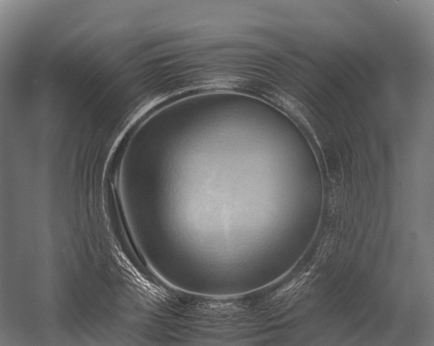 X0000057580835200509231249