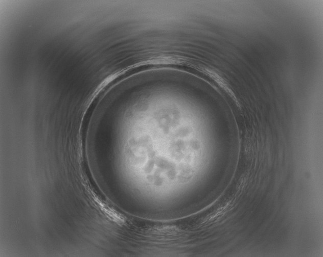 X0000057580837200509231249