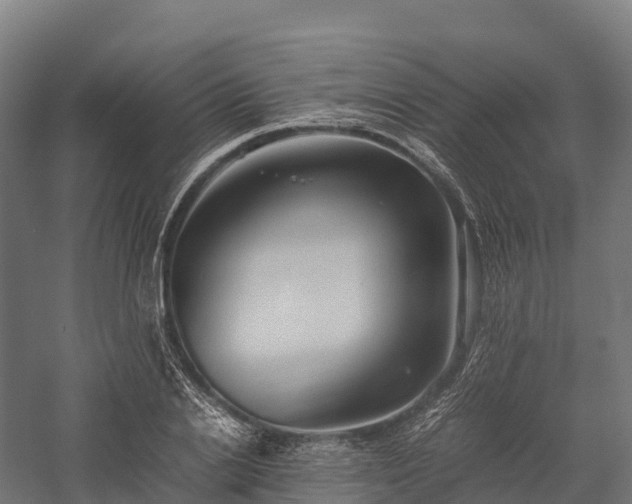 X0000057580838200509231249