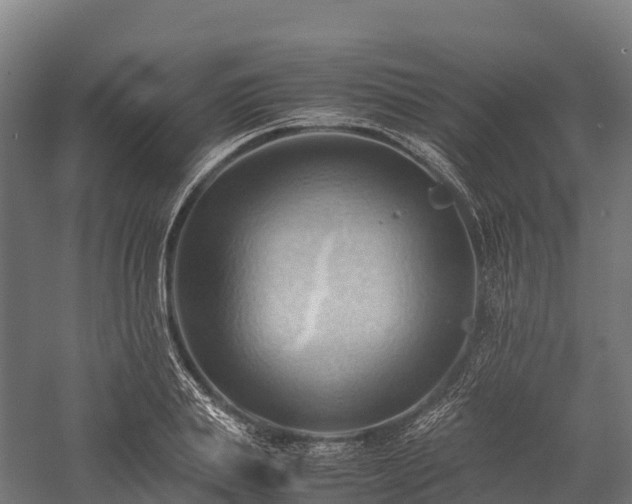 X0000057580839200509231249