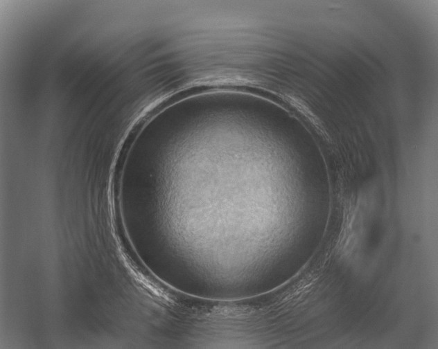 X0000057580840200509231249