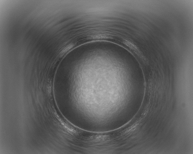 X0000057580841200509231249