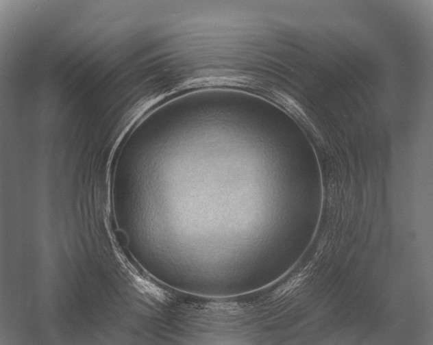 X0000057580844200509231249