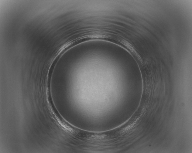 X0000057580845200509231249