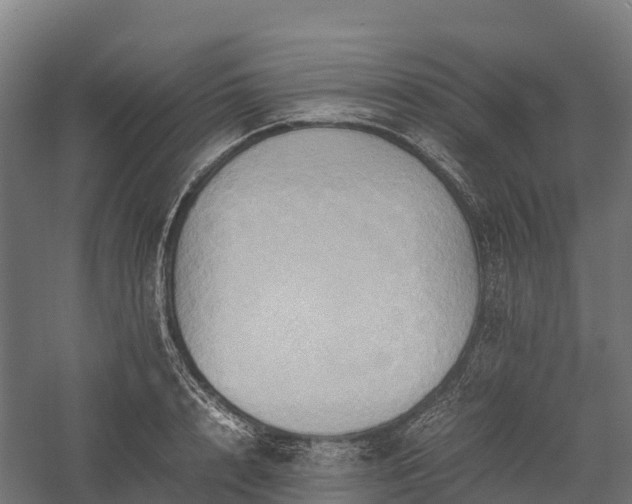 X0000057580848200509231250