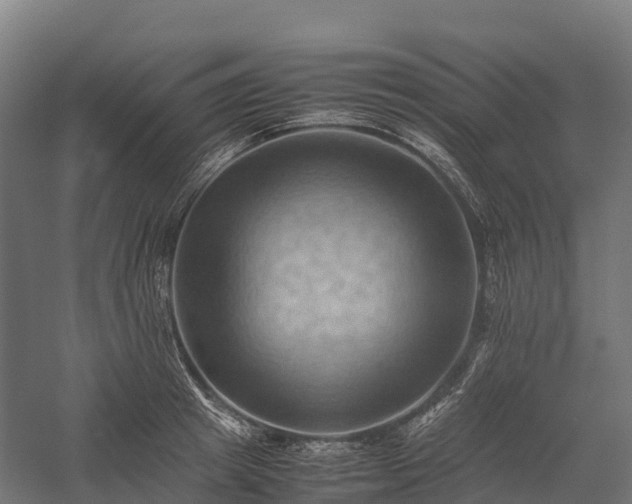 X0000057580849200509231250