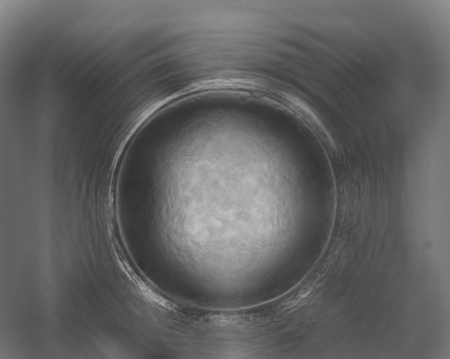 X0000057580852200509231250