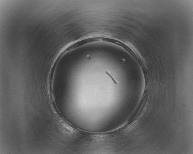 X0000057580854200509231250