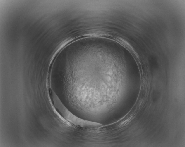 X0000057580855200509231250