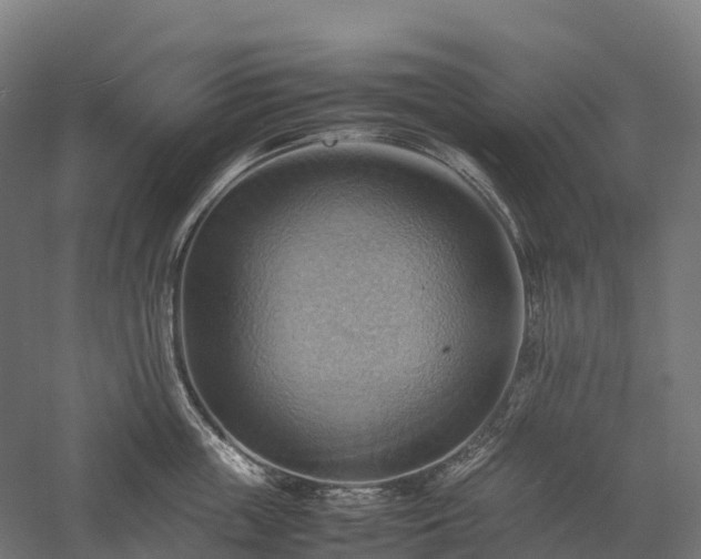 X0000057580859200509231250