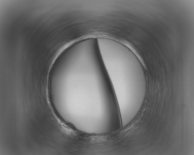 X0000057580861200509231250