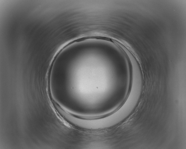 X0000057580862200509231250