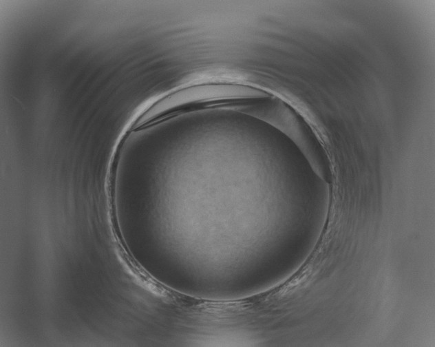 X0000057580864200509231250