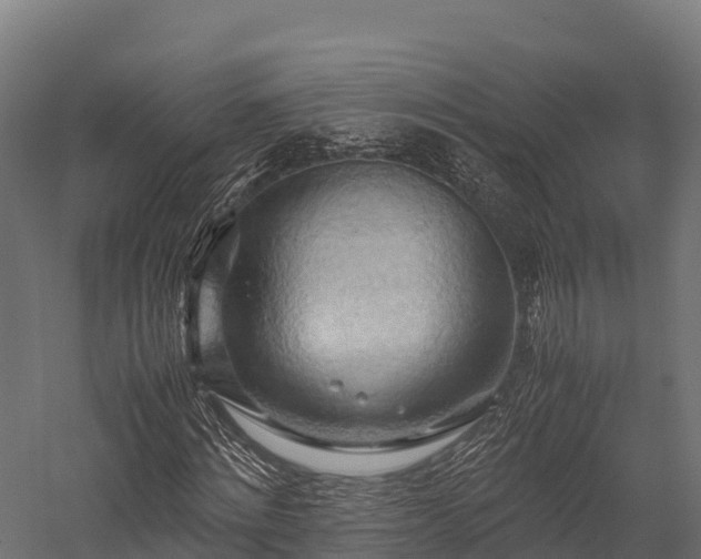 X0000057580868200509231249