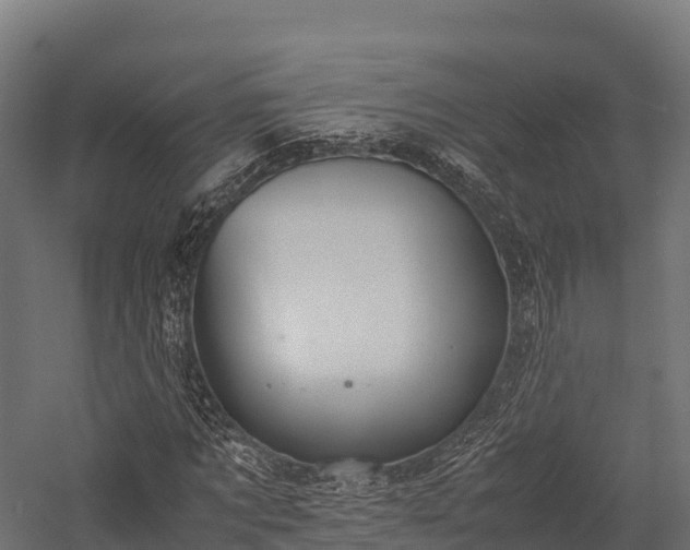 X0000057580869200509231249