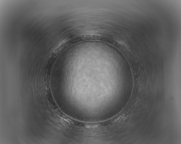 X0000057580870200509231249