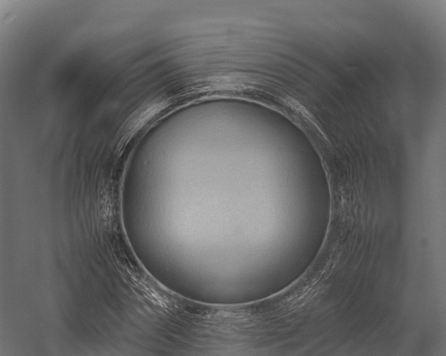 X0000057580874200509231249