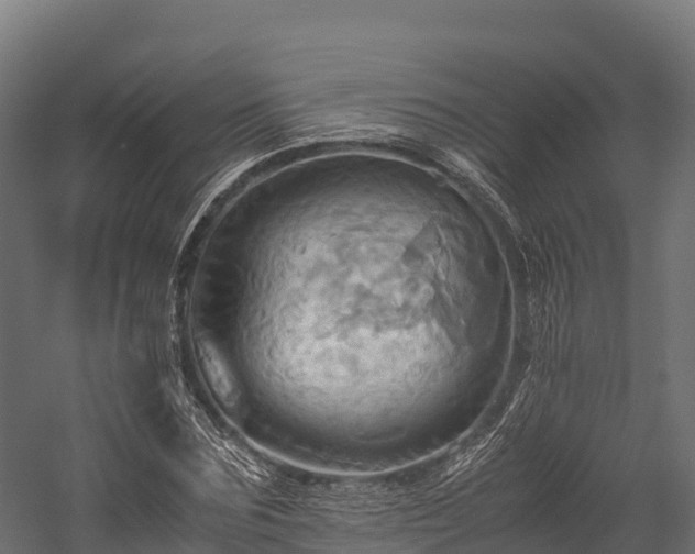 X0000057580875200509231249