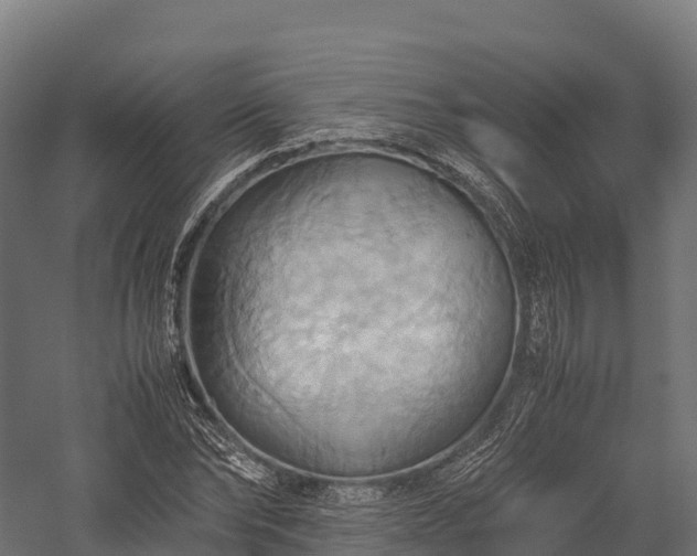 X0000057580878200509231249