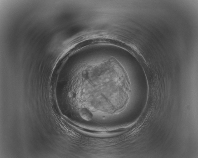 X0000057580879200509231249