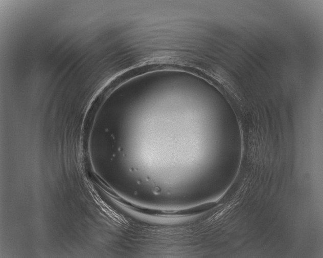 X0000057580880200509231249